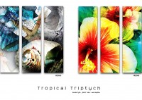 /album/gallery-three/tropical-triptych-1-jpg/